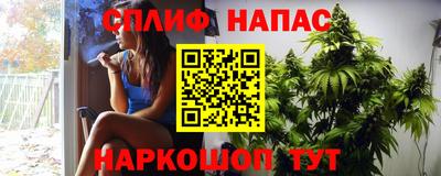 a pvp Кингисепп