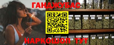 a pvp Кингисепп