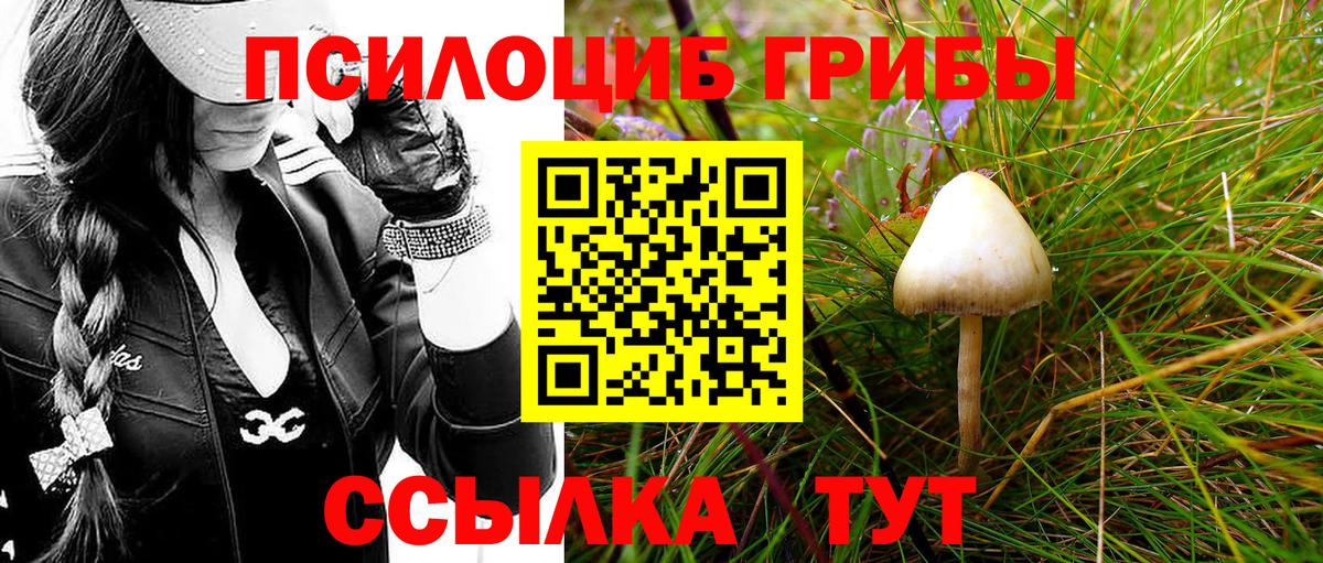 Псилоцибиновые грибы GOLDEN TEACHER Георгиевск